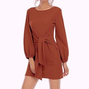 R. Vivimos long sleeve dress, size medium, burnt orange color, never worn